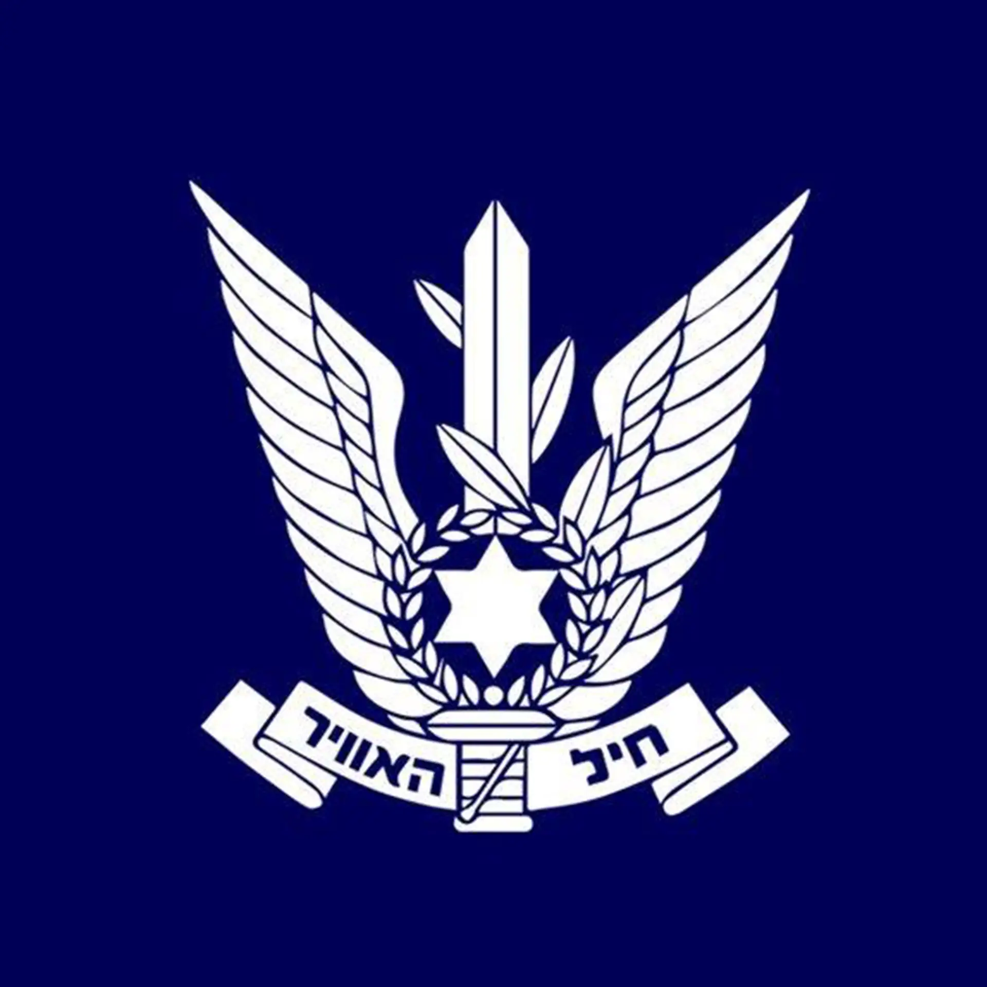 לקוחות אלטרון, חיל האוויר, אלטרון