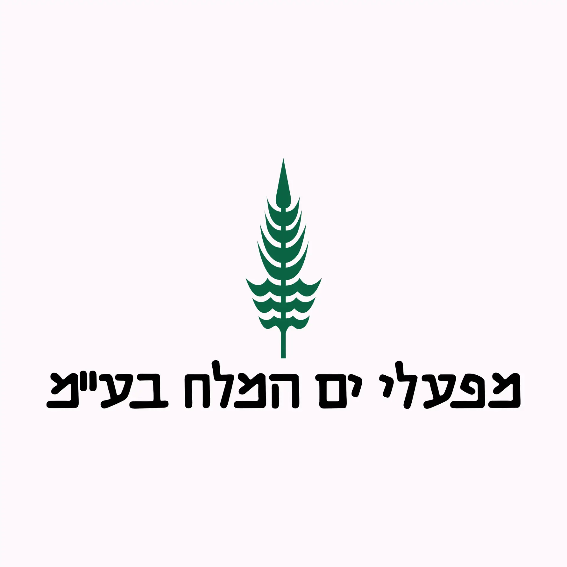 לקוחות אלטרון, מפעלי ים המלח, אלטרון